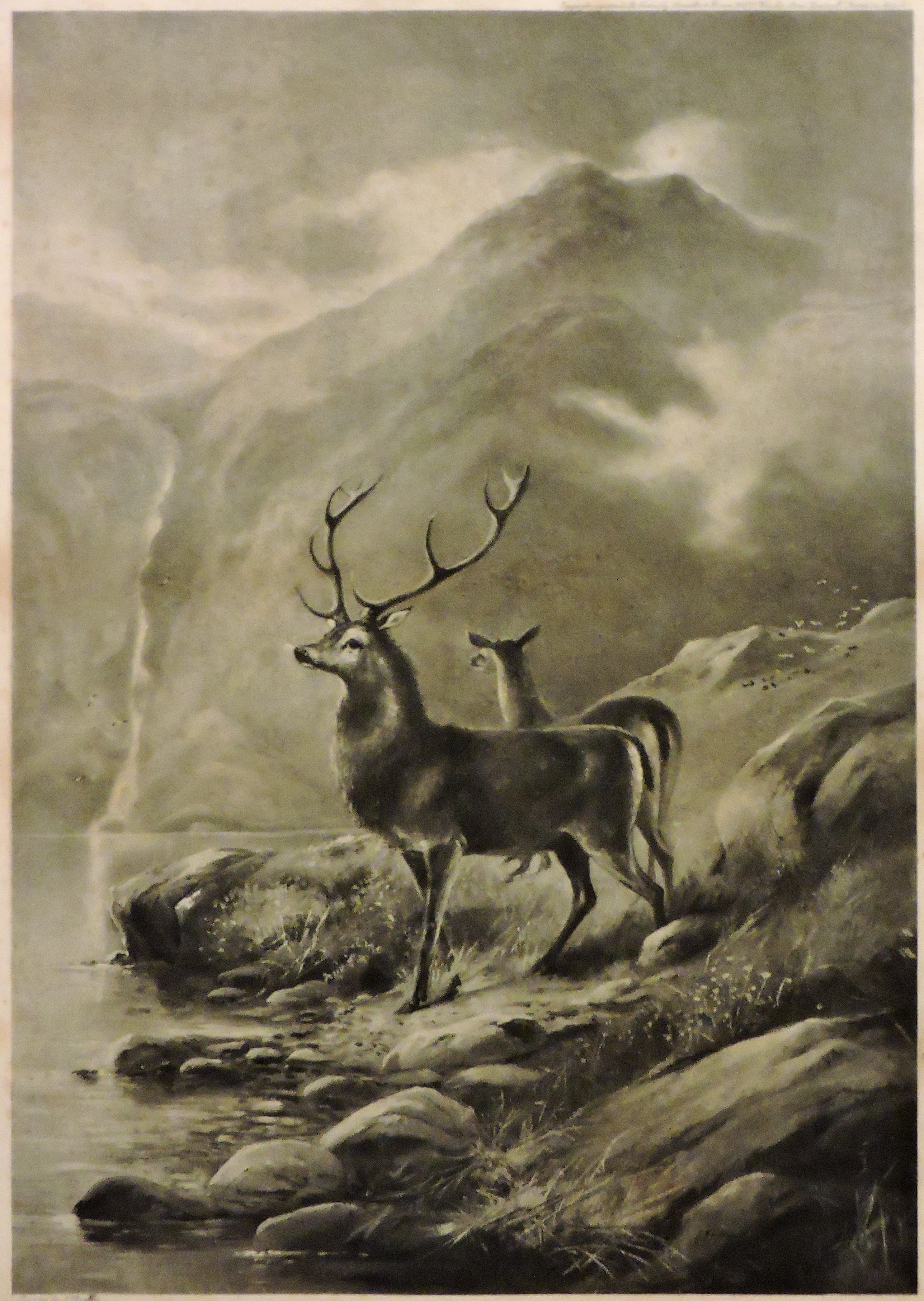 Highland Monarch. Bill Bagley Rocks and Minerals